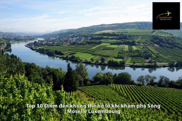 Top 10 Điểm đến không thể bỏ lỡ khi khám phá Sông Moselle Luxembourg